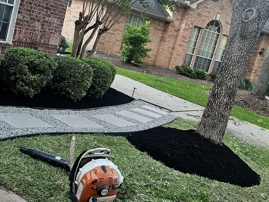 Luis Tree Services project photo 3