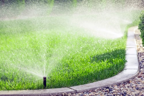 Five Sprinkler and Irrigation Problems That Quietly Waste Your Water