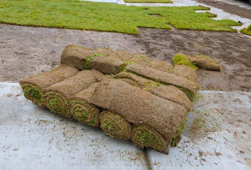 New Grass & Sod Installation
