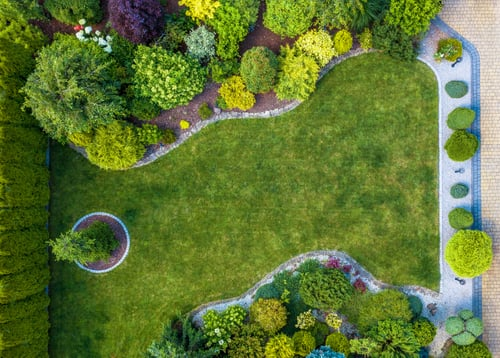 Trimmed trees and fresh-cut lawn on a Katy, Texas property maintained by Luis Tree Services