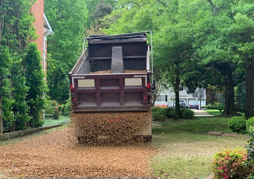 Fresh mulch being delivered to a Katy-area yard by Luis Tree Services
